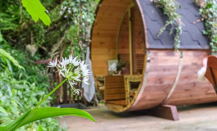 Wood-fire Sauna in the woods at glamping site in Hay-on-Wye, Wales